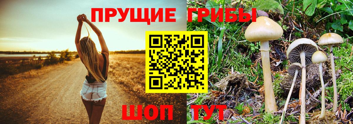 Галлюциногенные грибы мухоморы  Вход с VPN  Псилоцибиновые грибы Psilocybe  Томск 