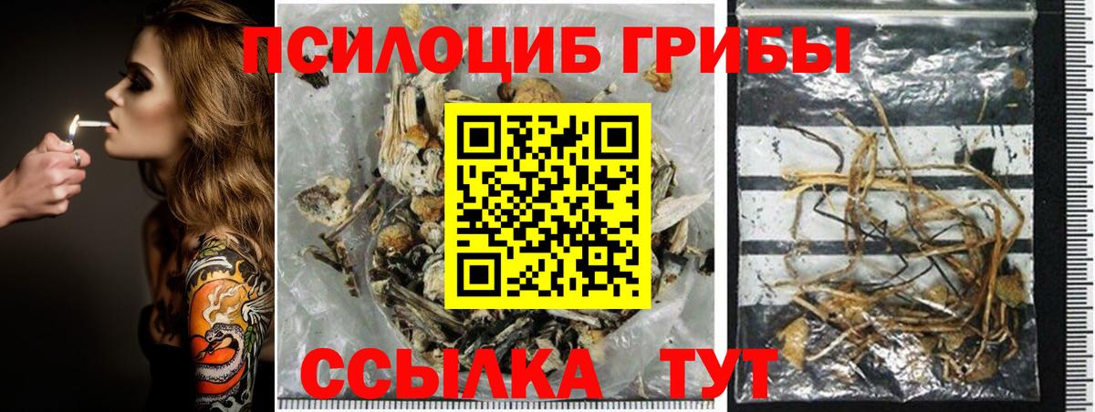 Псилоцибиновые грибы GOLDEN TEACHER Томск